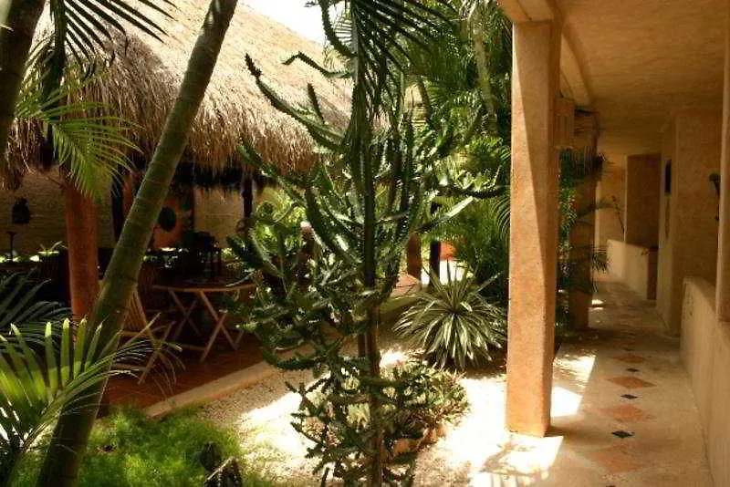 Hotel Barrio Latino Πλάγια Ντελ Κάρμεν 3*,  Μεξικό