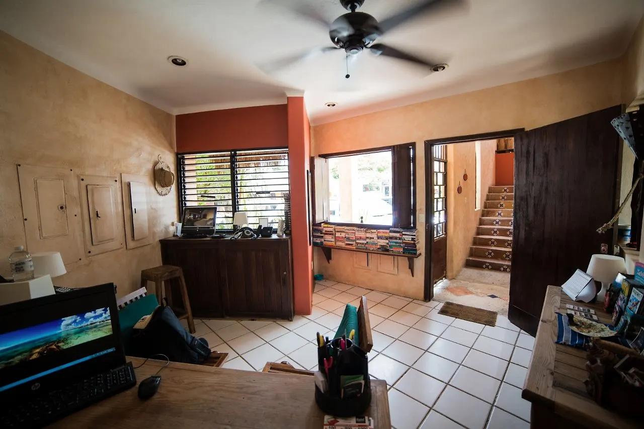 ***  Hotel Barrio Latino Πλάγια Ντελ Κάρμεν Μεξικό