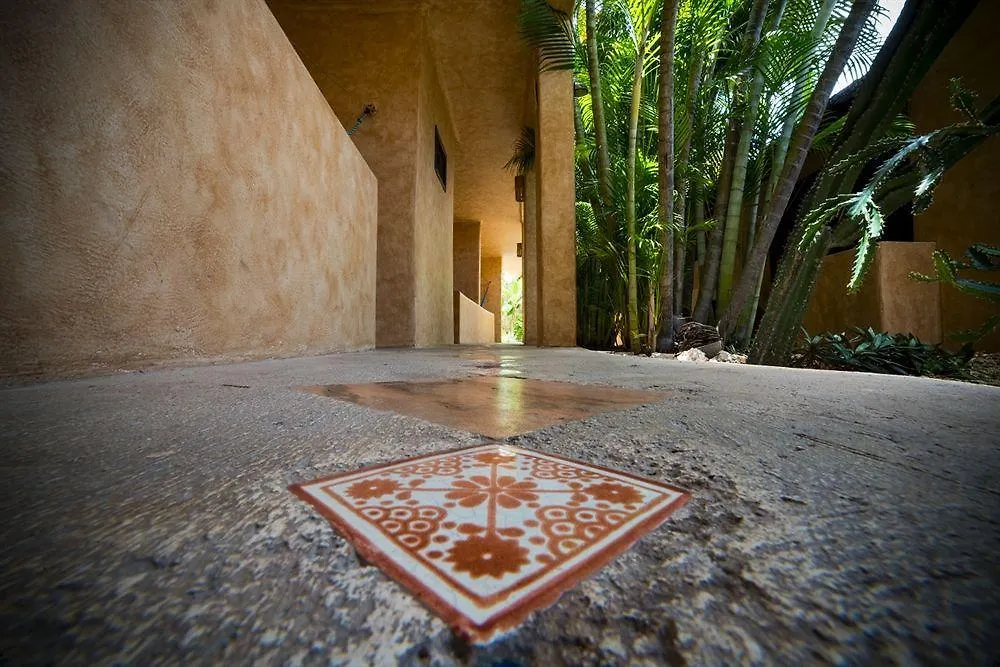 ***  Hotel Barrio Latino Playa del Carmen Mexico
