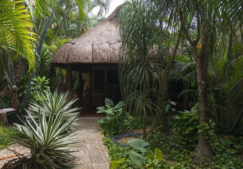 Hotel Barrio Latino Playa del Carmen